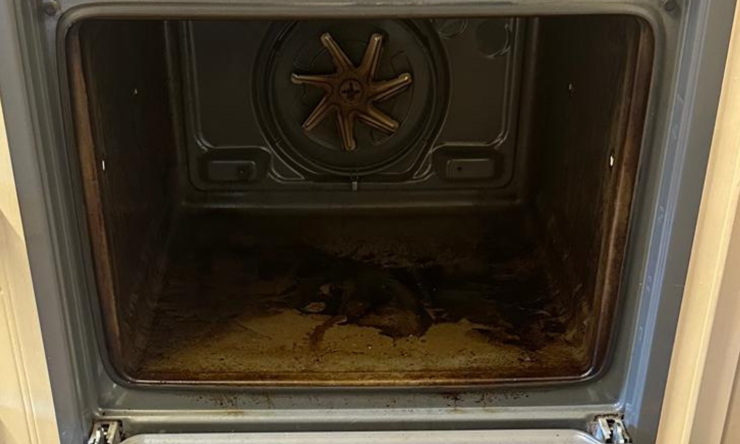 Oven interior before cleaning